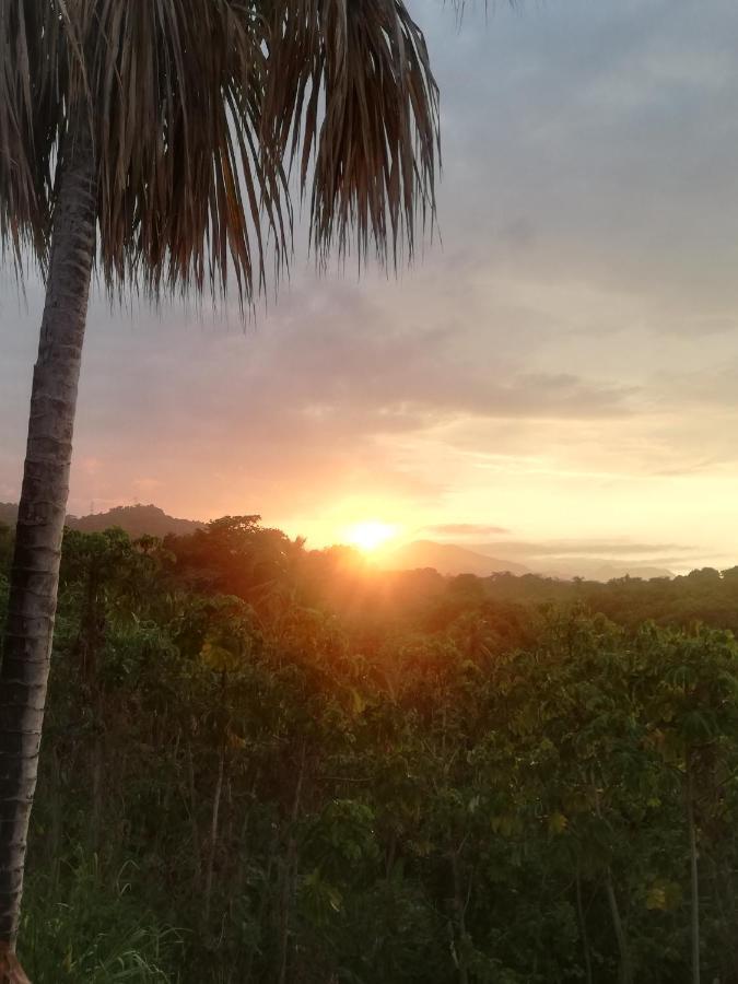 Casa Tolosa Tayrona, Los Cocos La Poza Ngoại thất bức ảnh